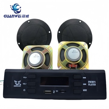 Customizable Electric Car Radio