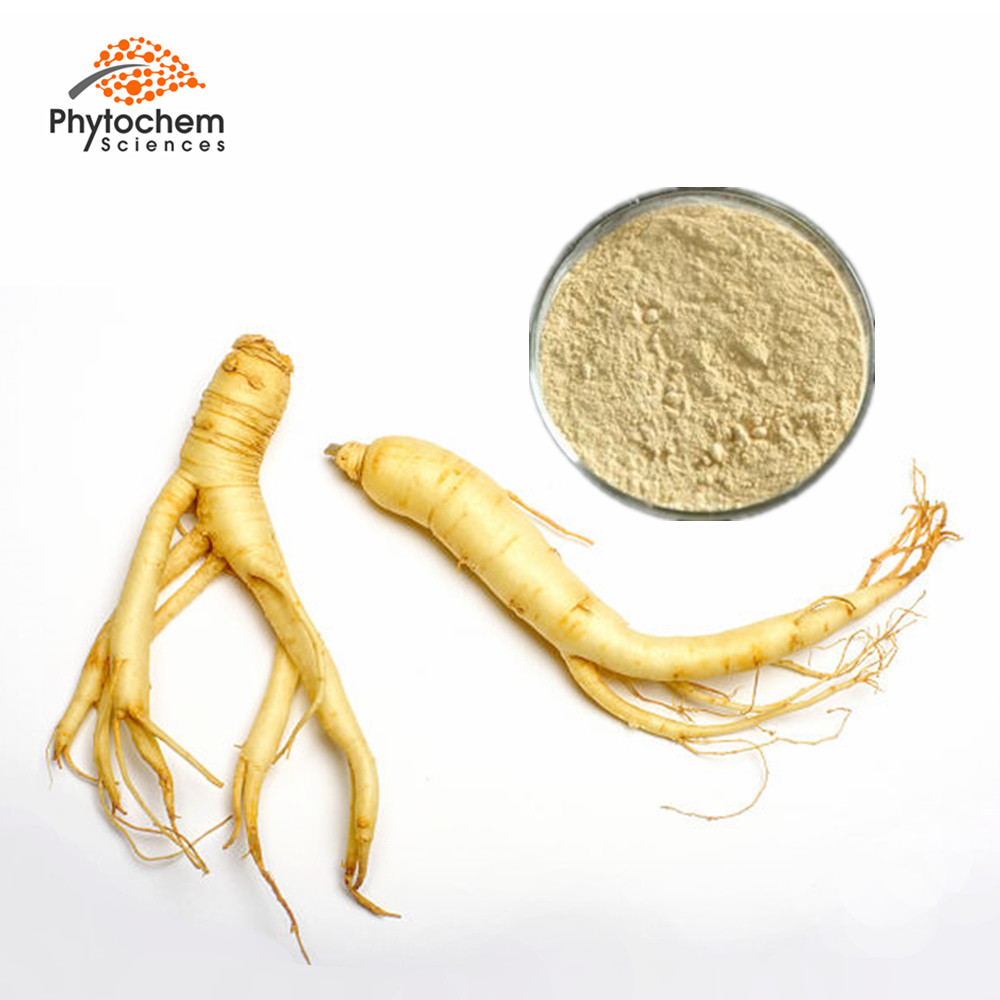 top grade Ginsenoside powder panax wild ginseng root