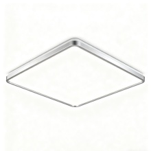 LED Ceiling Light for Interior Style
