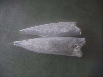 Frozen Oilfish Fillets or Escolar Fillets skin-on