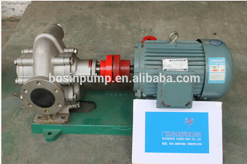 stainless steel food oil transfer gear pump/hydraulic gear pump