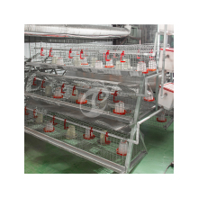 Customized Dark Grey-White/Dark Grey-Red Pullet Cage for China Modern Pullet Chicken Coop A Type