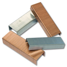 max galvanized crown staples