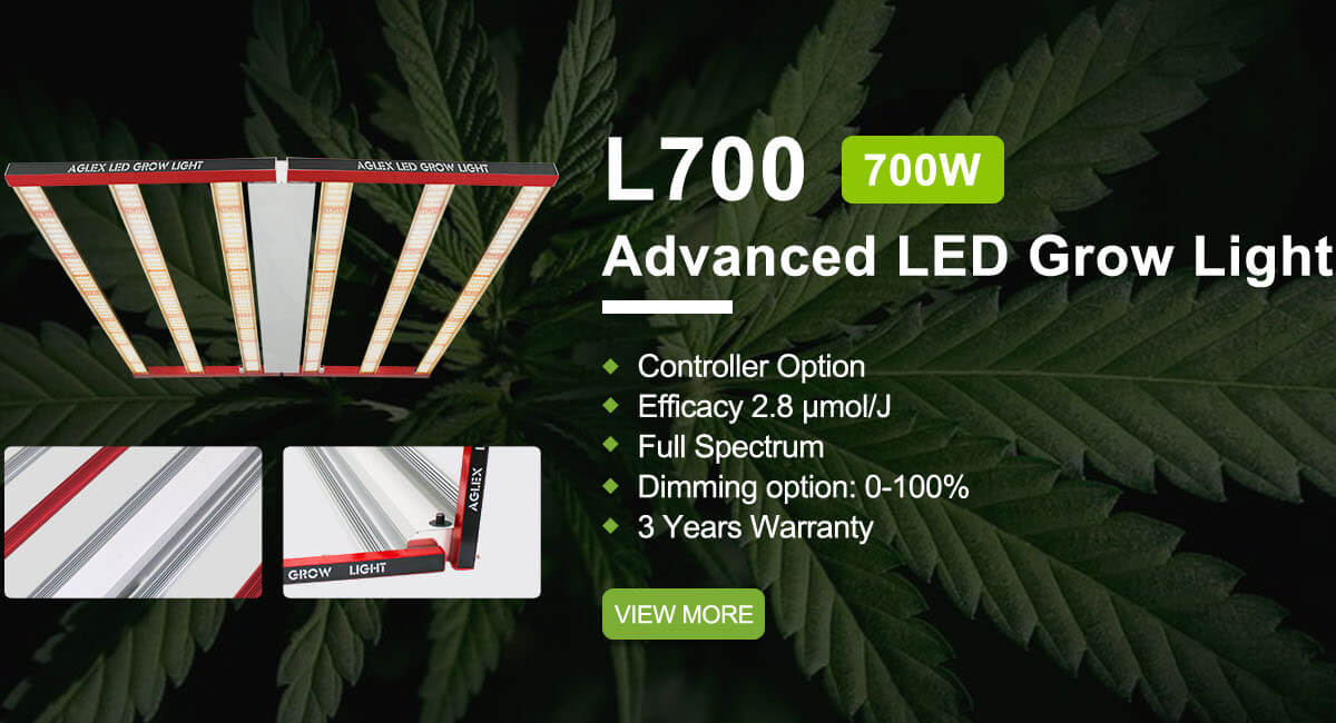 L700 LED élèvent des lumières L700 LED Grow Lights