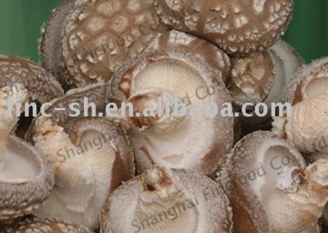 flower shiitake mushroom