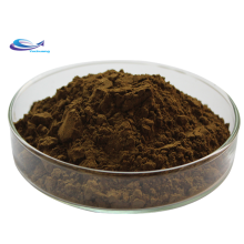 Best Quality Chaga Mushroom Extract