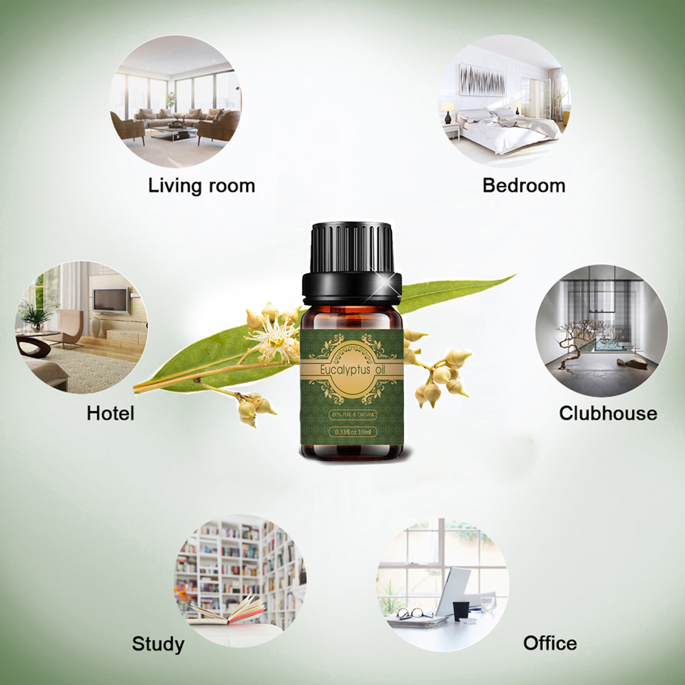 OEM Custom Prywatna Label Relaksing Eucalyptus Essential Oil