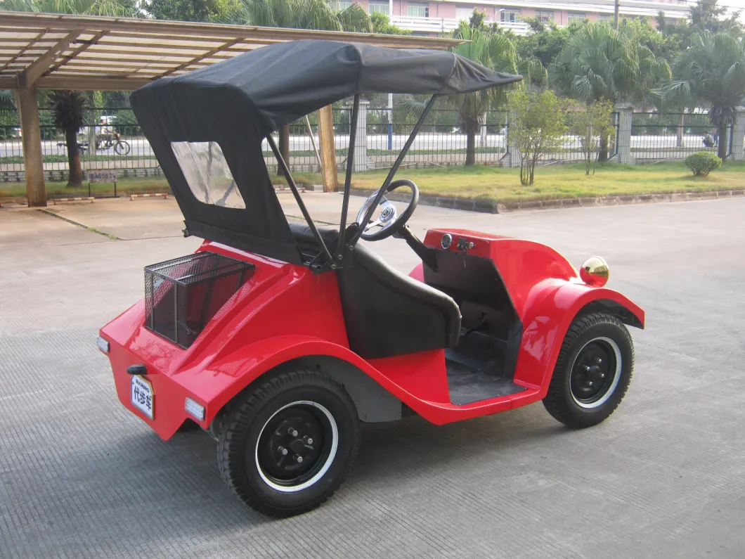 Top Sale 1.8kw 48V Motor-Driven Club Recreational Car