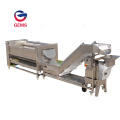 Taro Washer Cleaner Machine Taro Washing Polishing Machine