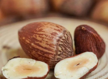 450g Delicious Leopard Hazelnuts