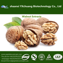 100% No Additives walnut shell powder For Health