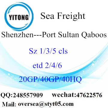 Shenzhen Port Sea Freight Shipping To Port Sultan Qaboos