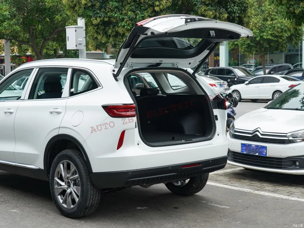 2022 High Quality SUV New Energy Vehicles Great Wall Haval H6 Sports Car Electric Cars for Sale