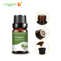 Aceite esencial de Cajeput 100% puro en el mejor precio analgésico