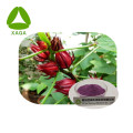 Roselle calyx rosa extracto de berenjena antociania 20% en polvo