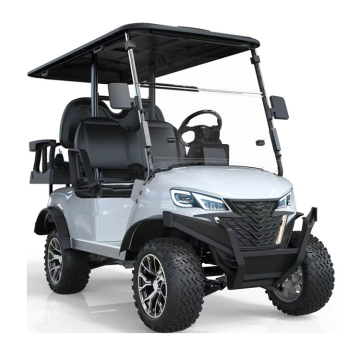 4-Person Electric Tourist Buggies for Sale