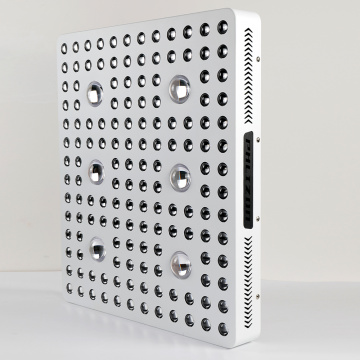 LED Crescimento Completo Espectro CoB LED Grow Light