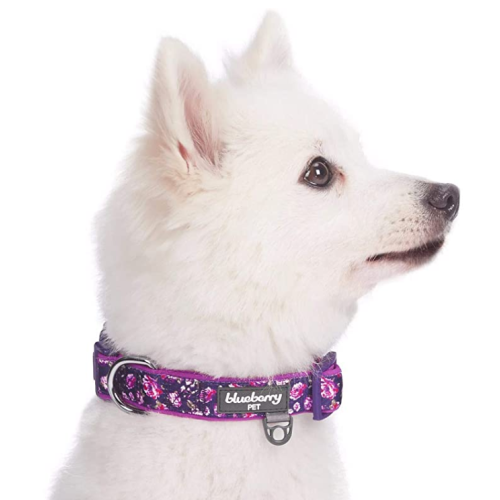 Comfy Flower Dog Collar