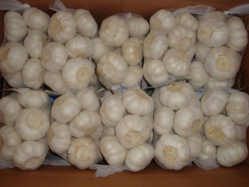 Large Bag Pure White Garlic Packed 500g bag