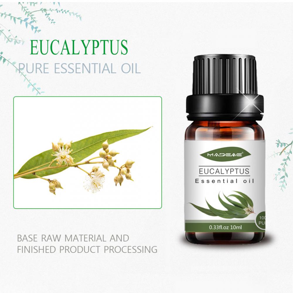 Óleo essencial para eucalipto orgânico por atacado para massagem com aroma