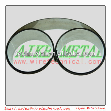 Special Shaped Wire Spring