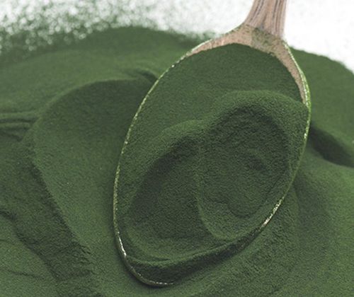 Spirulina Powder