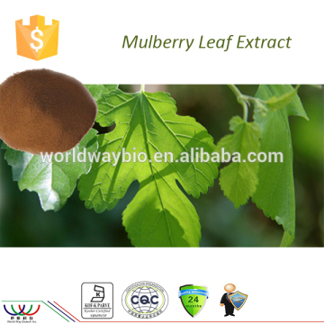 Natural food to lower high blood sugar HACCP KOSHER FDA cGMP DNJ polysaccharides mulberry leaf powder mulberry leaf extract