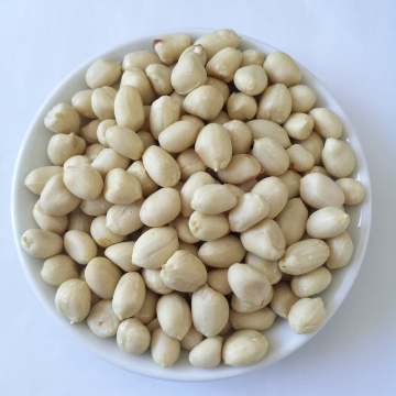 Chinese blanched peanut kernels