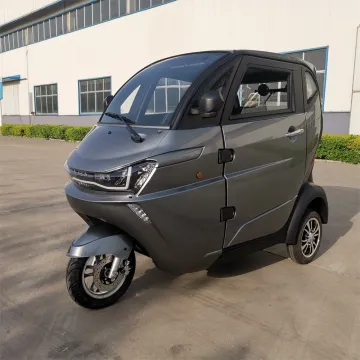 Runhorse EEC Coc CE Enclosed Electric Scooters
