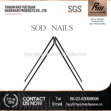 Electric Dog Fence Sod Staples (Pack of 100)