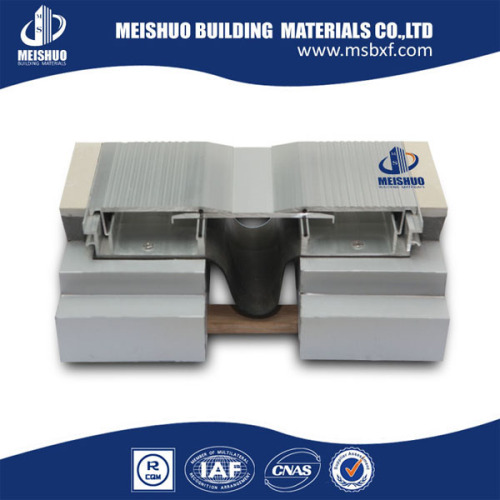 Metal Expansion Joint Cover in Building Expansion Joint Cover Systems (MSDK)