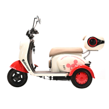 City Cargo 3 Wheeler Motorized Tricycle Trikes with Roof Open