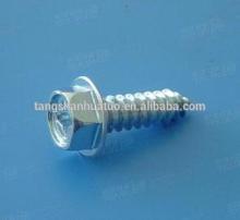 hex head phillips flange head screw
