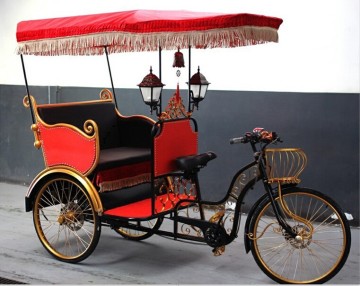 electric auto rickshaw 3 wheel bicycle