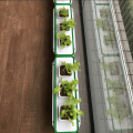Hidroponía automática interior para plantas