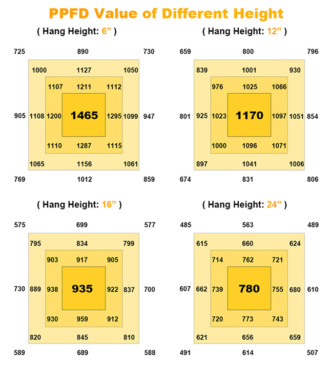 Kingbright Grow Light LED mit 6 Balken PPE2.8