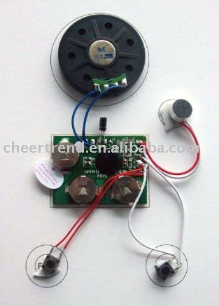 toy recordable sound module