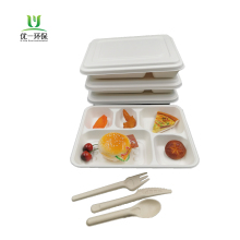 Compostable Disposable Sugarcane 6 Compartment Lunch Tray