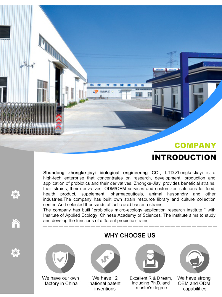 Shandong zhongke oem bulk probiotic powder