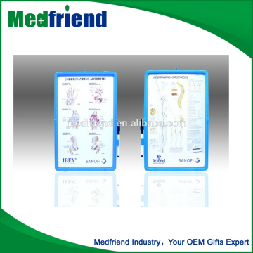 Anatomical Chart Board---Spine
