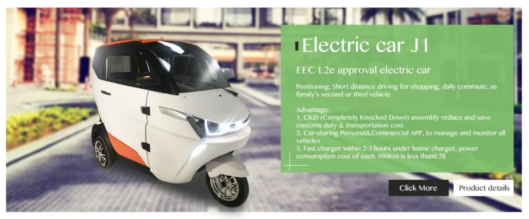 EEC Proved China Three Wheel Mini Electric Cars for Sale
