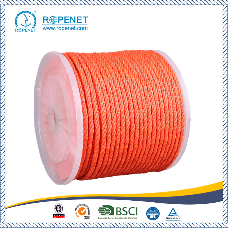 High Quanlity PE Rope 4mm with Cheap Price