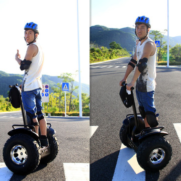 Fashionable Electric Mini Folding Bicycle with CE