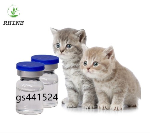 Cat Fip Injection GS-441524 Liquid 5.5ml GS441524