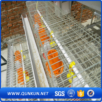 Battery Chicken Layer Cages