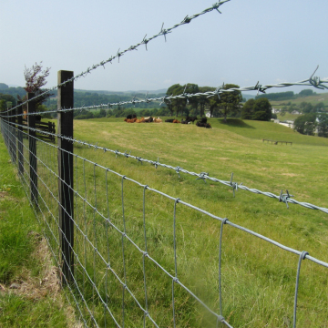 4 Points Barbed Wire 12-1/2 Gauge