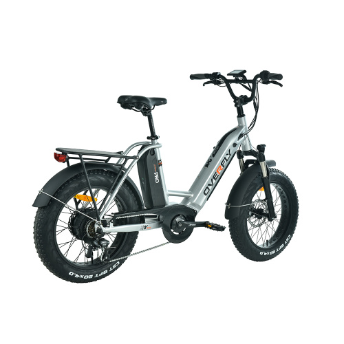 XY-Golf Fettreifen kleines Elektrofahrrad