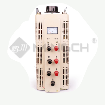 WENBA Digital Display Single Phase 5KVA Variac Variable Transformer Manual Voltage Regulator