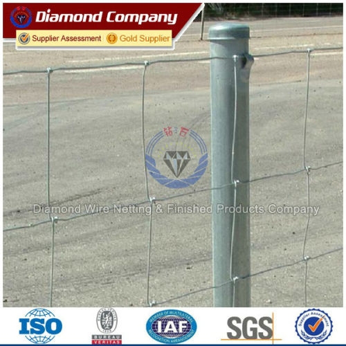 Galvanized farm fencing with tension curves