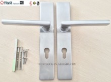 Hollow Lever Handle with Plate TP2454510-TH032